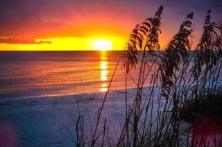 2 Min Beach Walk Pool Free Parking Free WiFi - 9