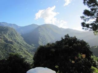 Pine Ridge 4-Person Tent - 6