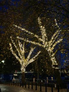 Beautiful 2 Bedroom Home In Bristol - 4