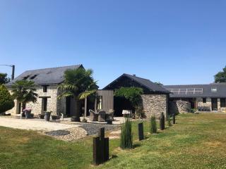 Gîte de Charme avec Cheminée et Spa en Campagne - FR-1-306-1333 - Pannecé - 3