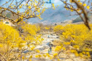 KensingtonResort JirisanNamwon - 8