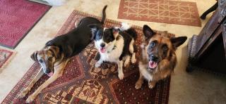 Herons Reef Holiday Apartments - 1