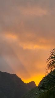 Herons Reef Holiday Apartments - 6