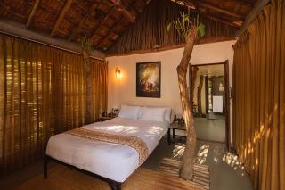 Orchid Tree Nature Stays - 6