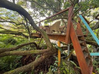 Sweet Spot Stay -Grotto Cottage Under Giant Trees - 9