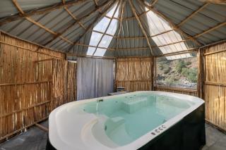 Echor Palm Bliss Resort & Spa, Kasol - 1