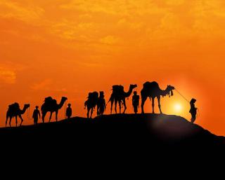 Desert Story Night Camp - 3