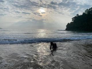 Talalla Ocean Beach Bungalow - 6