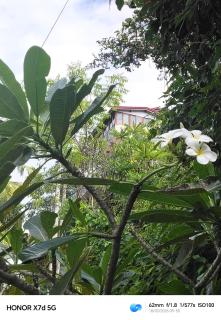 La villa de roché - 3