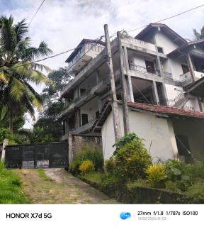 La villa de roché - 1