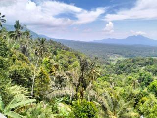 Pondok Alam Goa Ampekan - 1