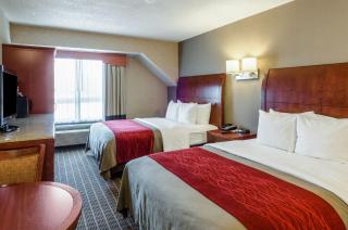 Comfort Inn & Suites West Springfield - 9