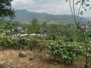 The Orchard Villa - 9