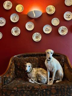 Hôtel-Restaurant de La Paix - 2