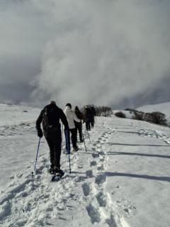 Agriturismo Le Case di Quarantotti - 2