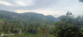 Suwehan Nine Dream of Paradise - 5