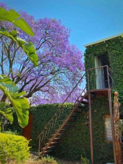 Solar Powered Treetop Loft at The Orchard on 2nd in Melville, Johannesburg - 1