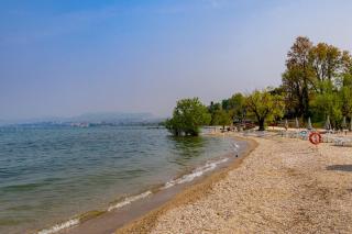 Agricamping Al Grappolo di Vino in Lazise - Gardasee - 2