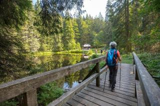 Ferienhaus Nr 17, Typ B, Feriendorf Jägerpark, Bayerischer Wald - 3