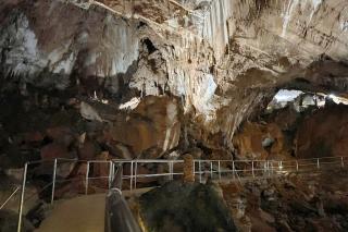 Apartments in Starigrad-Paklenica 6819 - 1