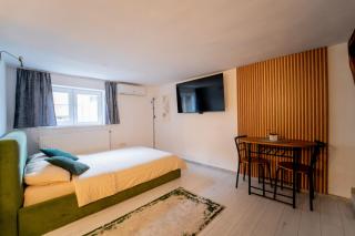 Ola Studio - Centru Vechi - 9