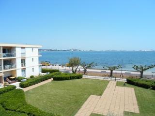 Appartement à 5 min des Thermes à Balaruc - Animaux admis - FR-1-503-66 - 2