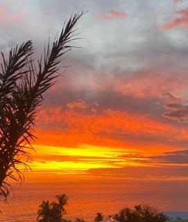 La Tanguière - Studios 3 étoiles - 8