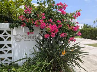 Gift石垣島シエスタプライベートプールヴィラ - 7