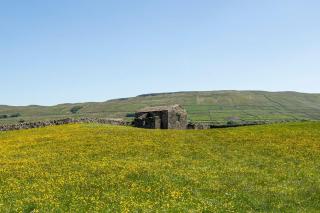 Rose Cottage. Family home on the river - 3
