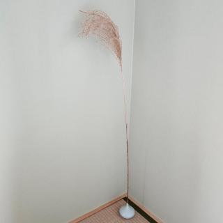 Picturesque Kyoto - 3