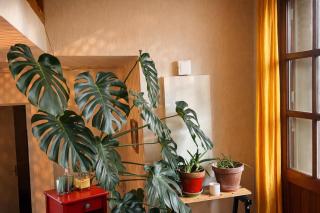 Les Jardins de Chevagny Parking - Jardin - 6 Personnes - 1