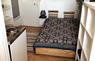 Belles studettes indépendantes - 5