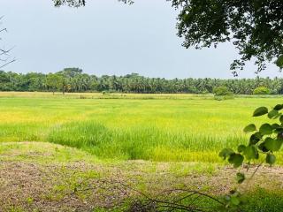 Ranathunga Guest Kataragama - 8
