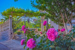 Apartments in Novi Vinodolski 39135 - 3