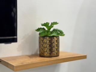 Furnished Apartment Islamabad - 5