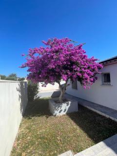 Villa Élégance - 4