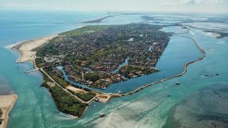 Houses and Apts. in Albarella 24882 - 1