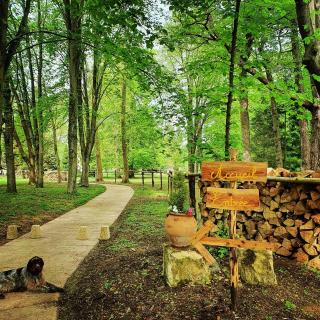 Eco Hôtel du Domaine de Ouézy - 1