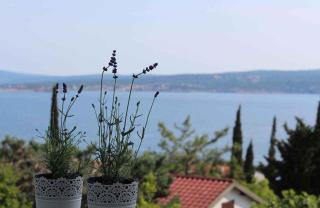 Apartments in Dramalj 42437 - 2