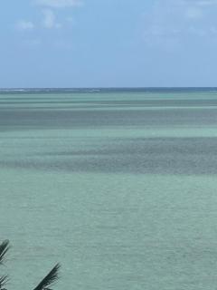 Belle terre sur mer - 5