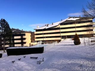 Appartement au cœur du Mont d'Or - 7