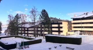 Appartement au cœur du Mont d'Or - 2