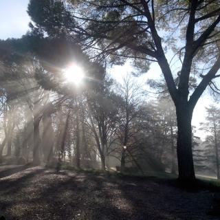 Maison d'hôtes de Gailhaguet - 1