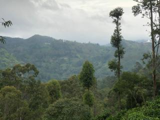 Ella 96 TN Resort - 8