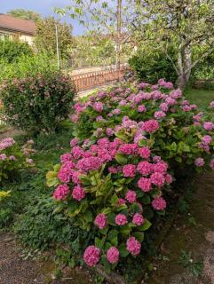 Offre de lancement MAISON NEUVE confortable détente jardin fleuri et terrasse ensoleillée 10 mn Besançon - 7