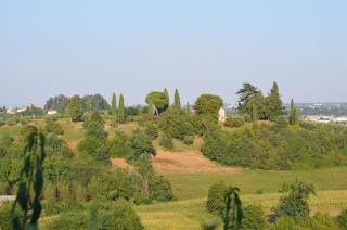 Agriturismo La Torre - 6