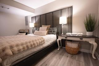 Beautiful Basement in Bristow - 2