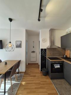 Apartman Forest Rest Divcibare 2 - 3