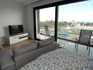 Pilot Ocean View - 2