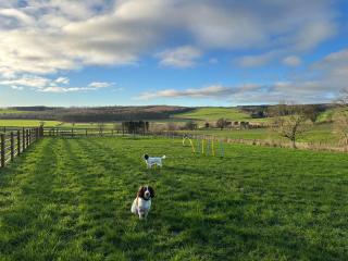 Riccal Dale Cottage - 7